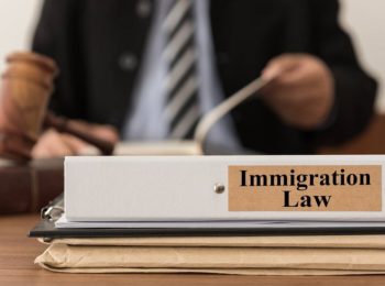Immigration Lawyer