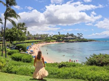 Maui for Travelers